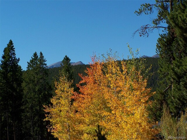 Glacier Ridge Rd, Alma, CO 80420 - photo 13
