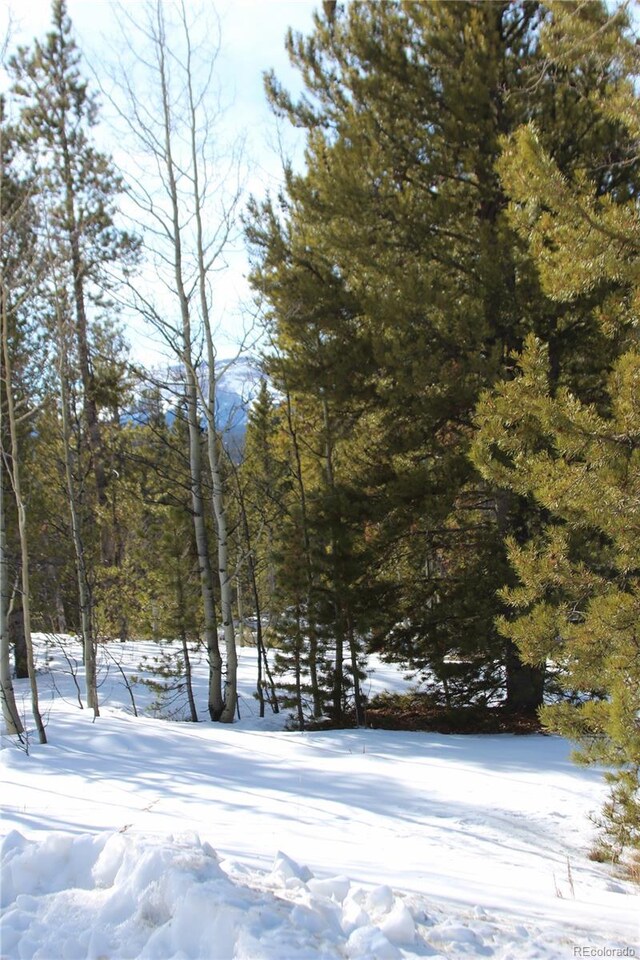Glacier Ridge Rd, Alma, CO 80420 - photo 14