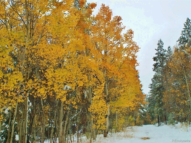 Glacier Ridge Rd, Alma, CO 80420 - photo 15