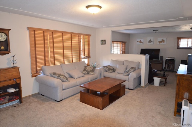 living area featuring carpet floors