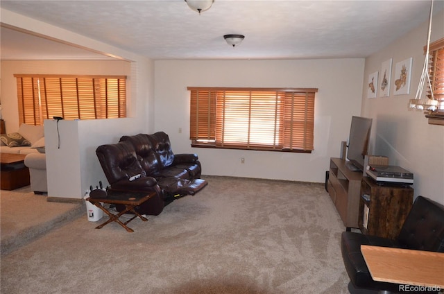 living room with carpet