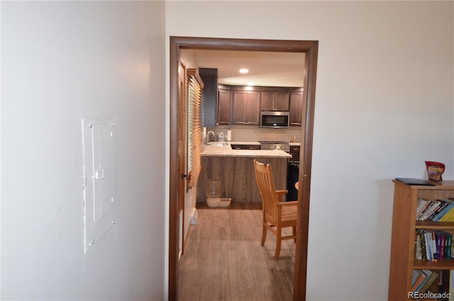 hall with light wood finished floors and a sink