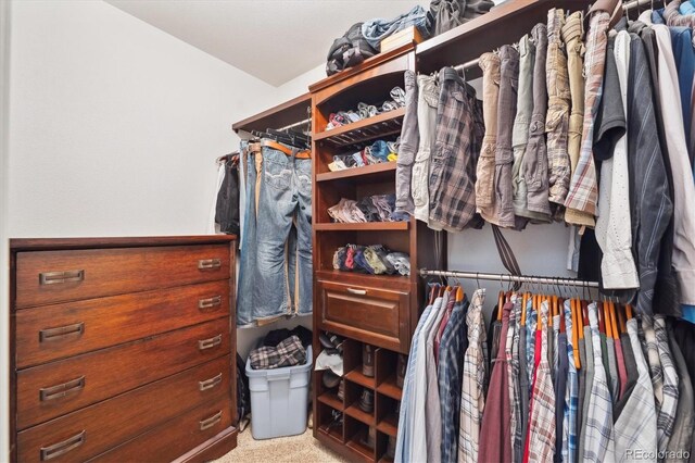 2905 E Yarrow Cir, Superior, CO 80027 - spacious closet featuring carpet flooring