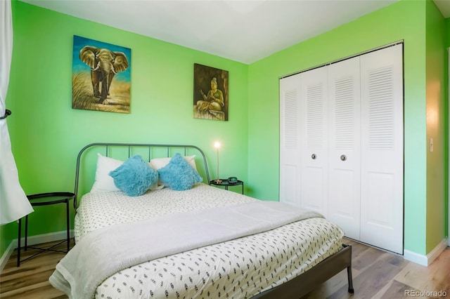 bedroom featuring wood-type flooring and a closet