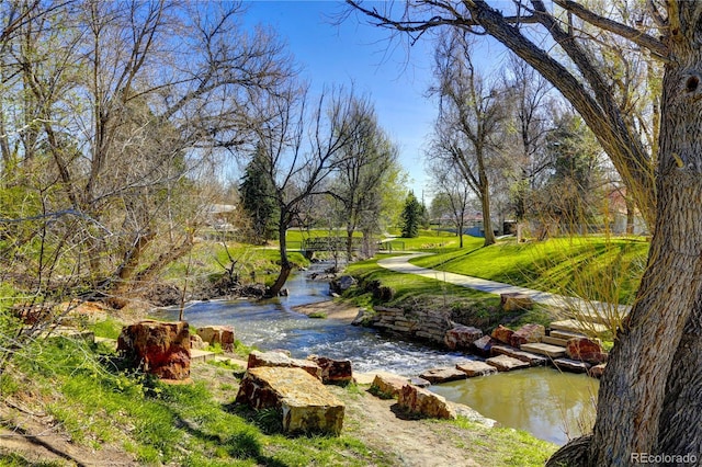 view of community with a lawn