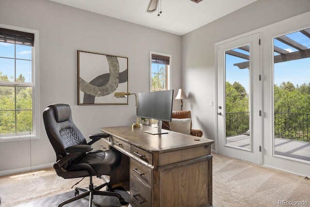 6299 Ellingwood Point Pl, Castle Rock, CO 80108 - carpeted office with plenty of natural light