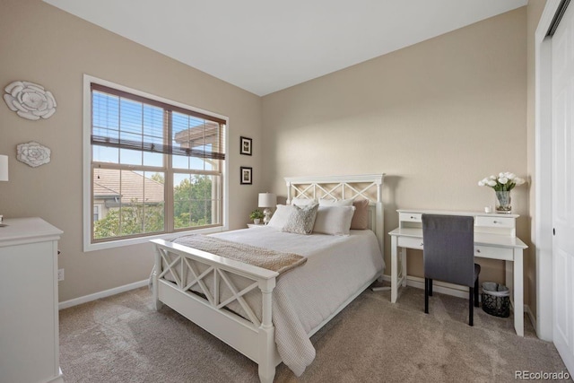 6299 Ellingwood Point Pl, Castle Rock, CO 80108 - bedroom with carpet floors and baseboards