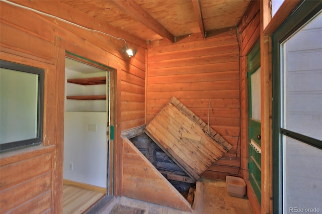 3007 Orchard Ave, Collbran, CO 81624 - photo 22