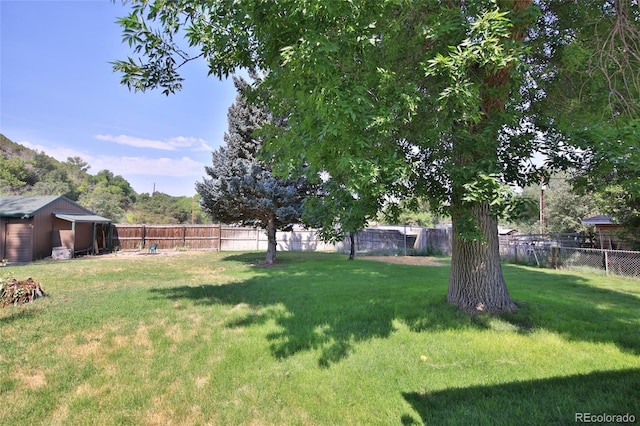 3007 Orchard Ave, Collbran, CO 81624 - photo 23