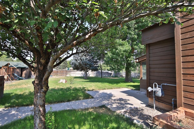 3007 Orchard Ave, Collbran, CO 81624 - photo 26