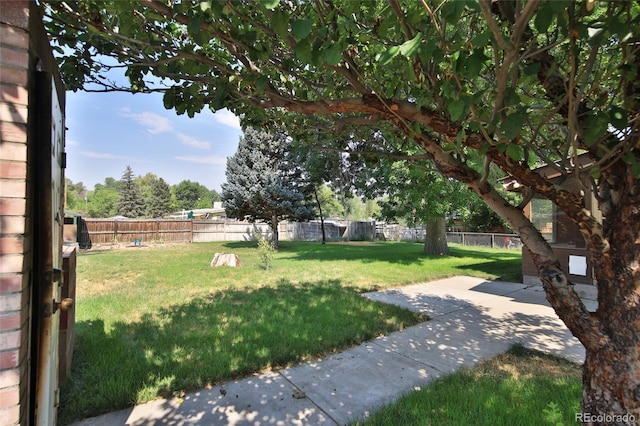 3007 Orchard Ave, Collbran, CO 81624 - photo 27