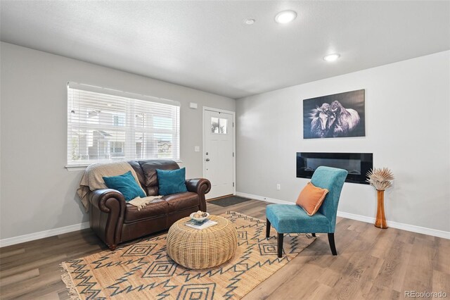 living room featuring wood finished floors, baseboards, and recessed lighting