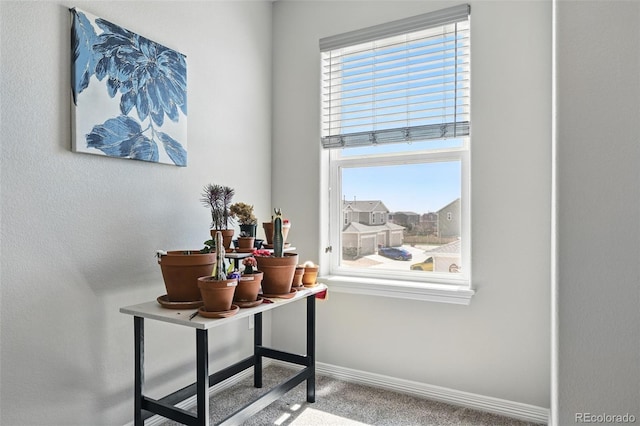 interior space with carpet floors and baseboards