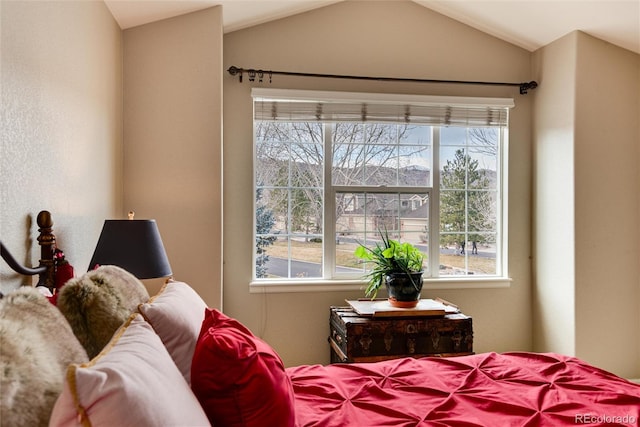 bedroom featuring vaulted ceiling