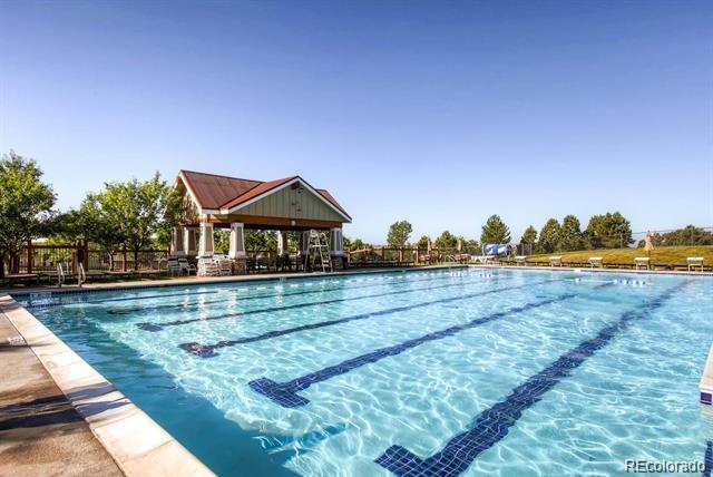 pool with a gazebo