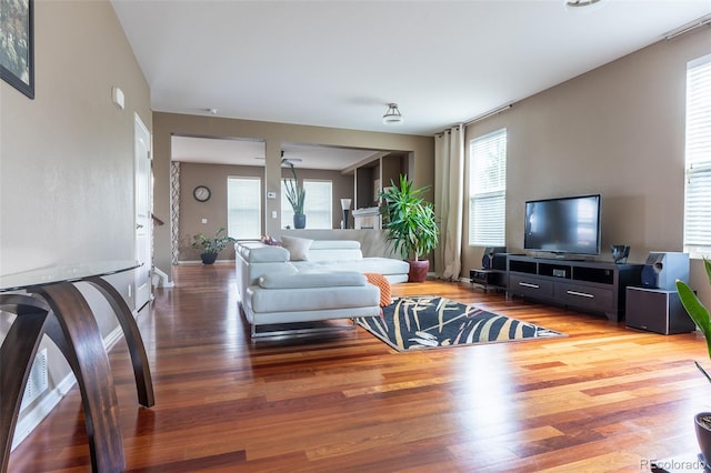 living room with hardwood / wood-style flooring and plenty of natural light