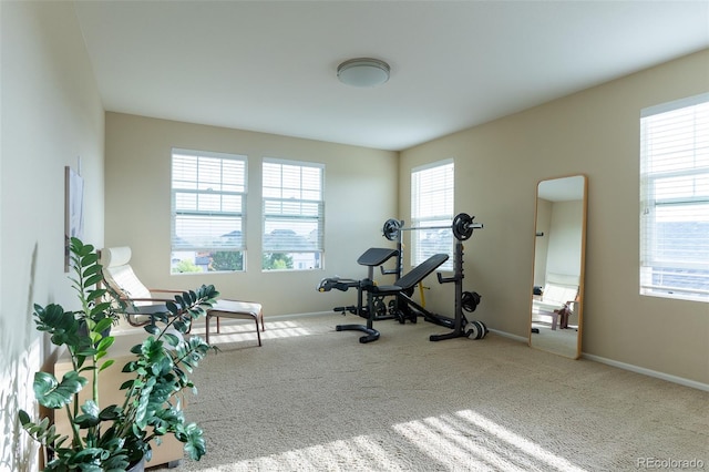 workout area featuring a wealth of natural light and carpet