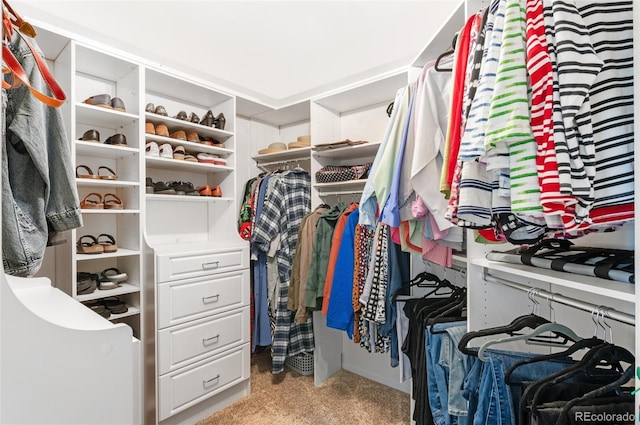 walk in closet featuring light colored carpet