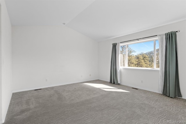 6904 Sprucedale Park Way, Evergreen, CO 80439 - unfurnished room featuring lofted ceiling, carpet, and baseboards