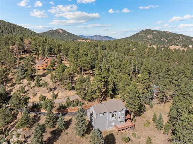 6904 Sprucedale Park Way, Evergreen, CO 80439 - view of mountain background with a forest