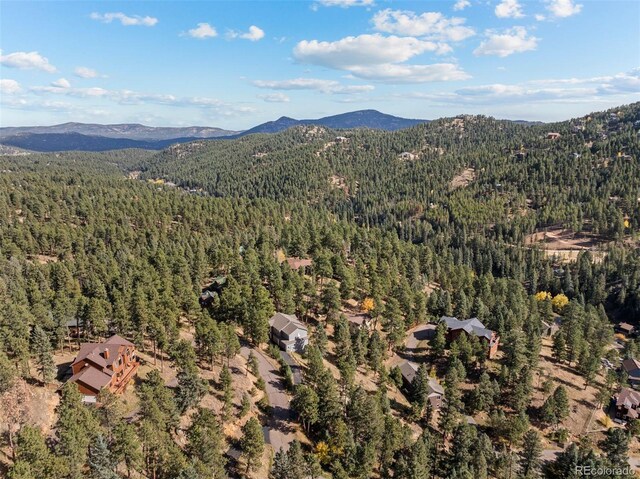 6904 Sprucedale Park Way, Evergreen, CO 80439 - view of mountain backdrop featuring a forest