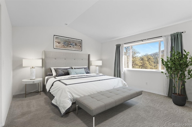 6904 Sprucedale Park Way, Evergreen, CO 80439 - bedroom featuring lofted ceiling, carpet floors, and baseboards