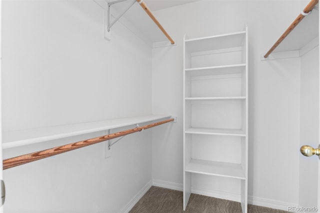 6904 Sprucedale Park Way, Evergreen, CO 80439 - spacious closet featuring carpet floors