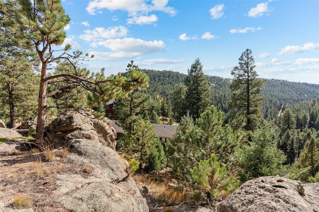 6904 Sprucedale Park Way, Evergreen, CO 80439 - view of mountain backdrop featuring a forest