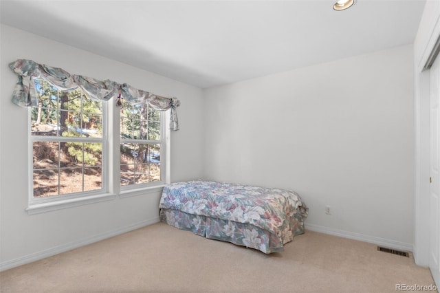 6904 Sprucedale Park Way, Evergreen, CO 80439 - bedroom featuring carpet flooring and baseboards