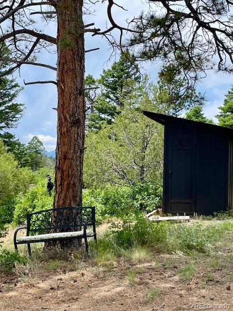 640 Ridgeway Dr, Cotopaxi, CO 81223 - view of shed