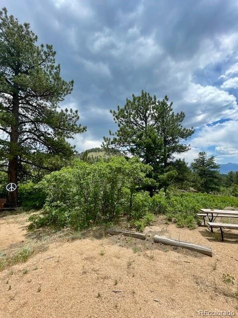 640 Ridgeway Dr, Cotopaxi, CO 81223 - view of local wilderness