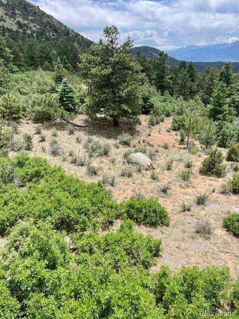 640 Ridgeway Dr, Cotopaxi, CO 81223 - view of mountain background featuring a heavily wooded area