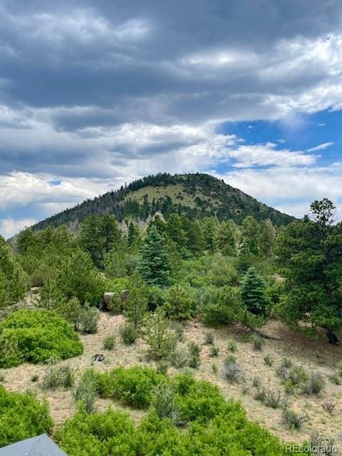 640 Ridgeway Dr, Cotopaxi, CO 81223 - view of mountain background with a forest