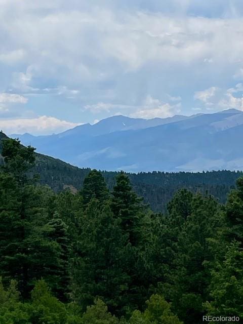 640 Ridgeway Dr, Cotopaxi, CO 81223 - mountain view with a forest