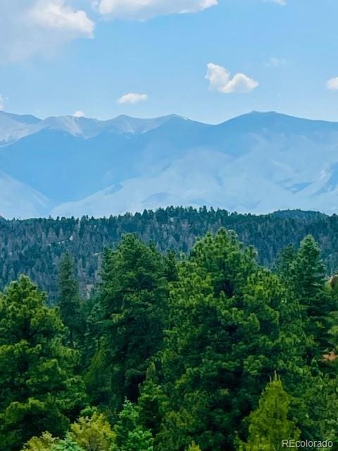 640 Ridgeway Dr, Cotopaxi, CO 81223 - mountain view with a heavily wooded area