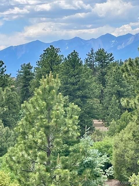 640 Ridgeway Dr, Cotopaxi, CO 81223 - view of mountain background with a heavily wooded area