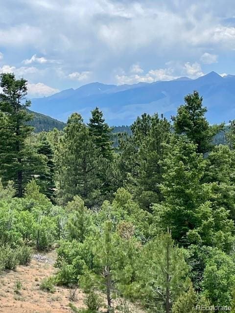 640 Ridgeway Dr, Cotopaxi, CO 81223 - mountain view featuring a forest