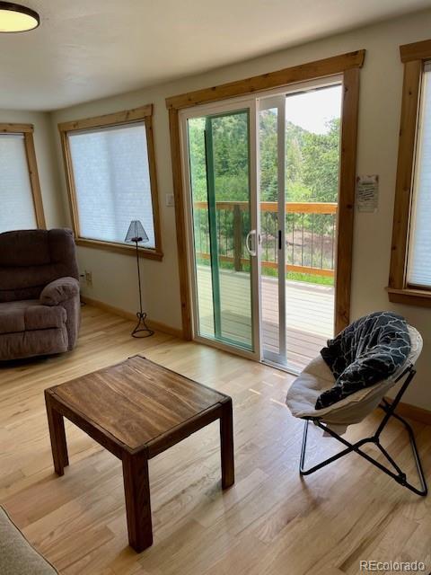 640 Ridgeway Dr, Cotopaxi, CO 81223 - doorway to outside with light wood finished floors and plenty of natural light
