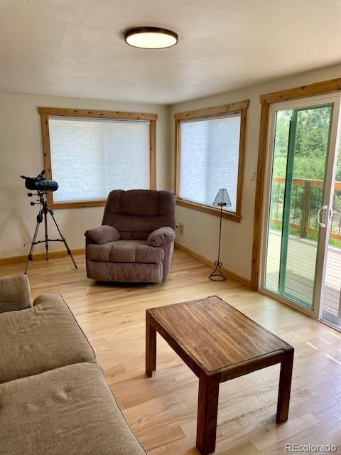 640 Ridgeway Dr, Cotopaxi, CO 81223 - living area with healthy amount of natural light and light wood-type flooring