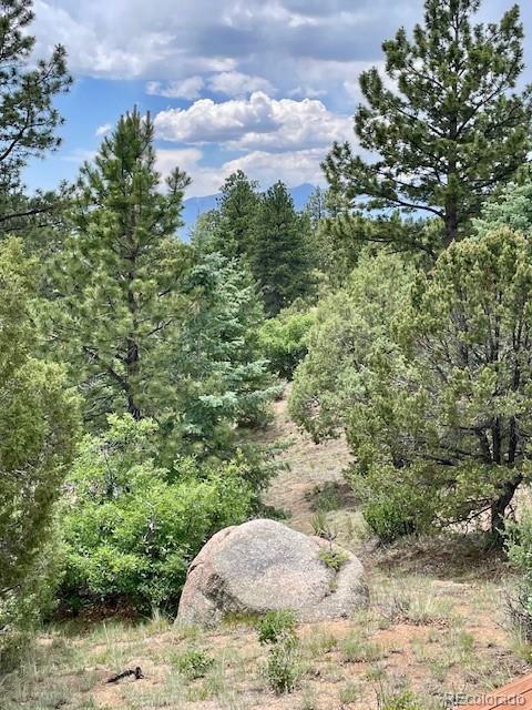640 Ridgeway Dr, Cotopaxi, CO 81223 - view of woods