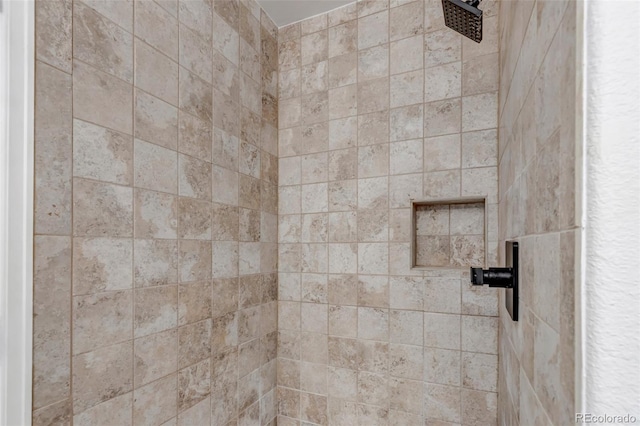 2602 Cove Creek Ct, Highlands Ranch, CO 80129 - bathroom view of tiled shower