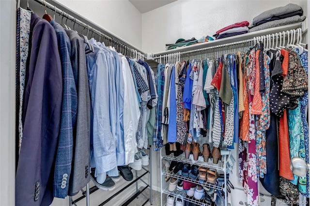 2602 Cove Creek Ct, Highlands Ranch, CO 80129 - view of walk in closet