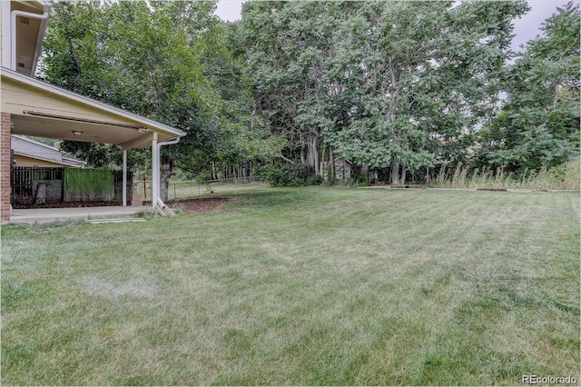 983 Xenon, Golden, CO 80401 - view of yard