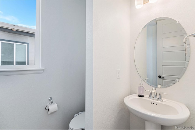 bathroom featuring a sink and toilet