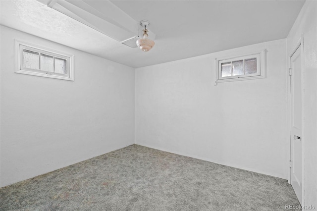 basement with carpet flooring and a healthy amount of sunlight