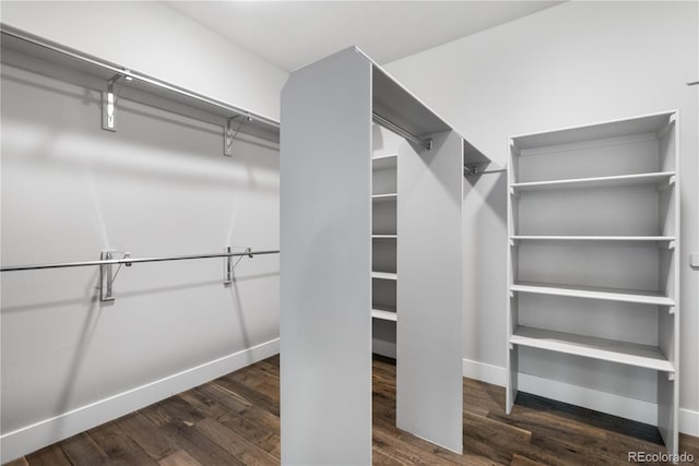 walk in closet with wood finished floors