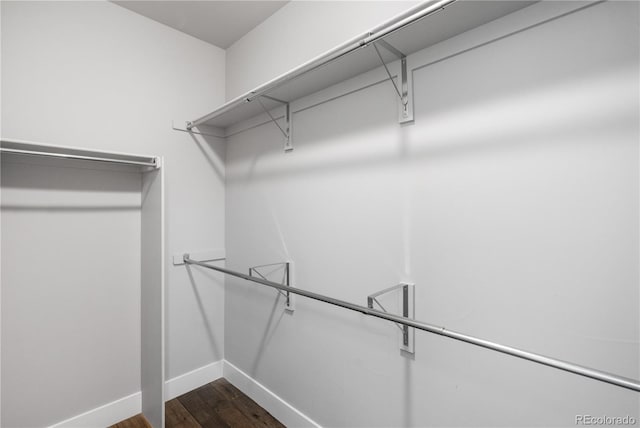 walk in closet featuring dark wood-type flooring