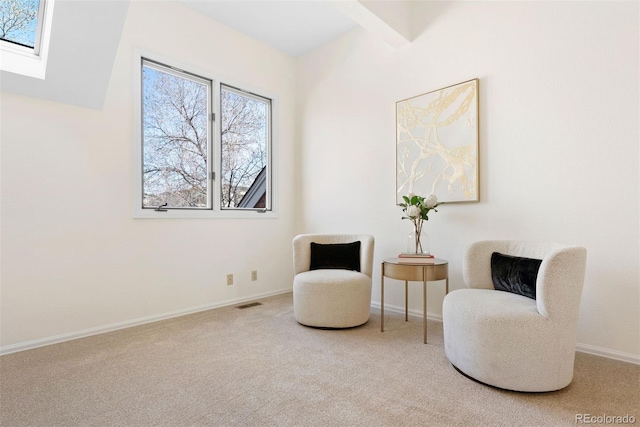 443 Garfield St, Denver, CO 80206 - living area featuring carpet, a skylight, and baseboards