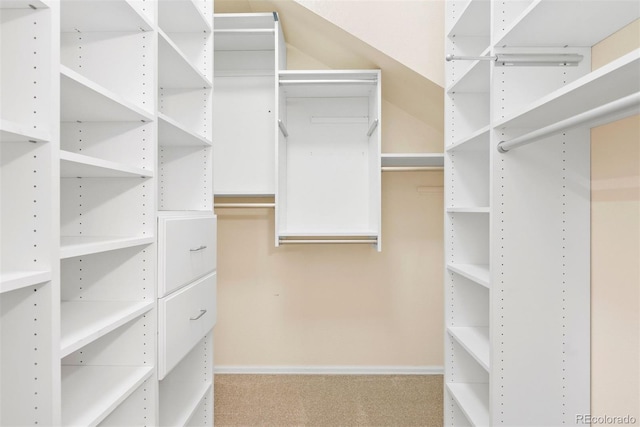 443 Garfield St, Denver, CO 80206 - walk in closet featuring carpet floors
