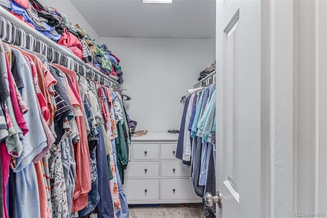 spacious closet featuring carpet